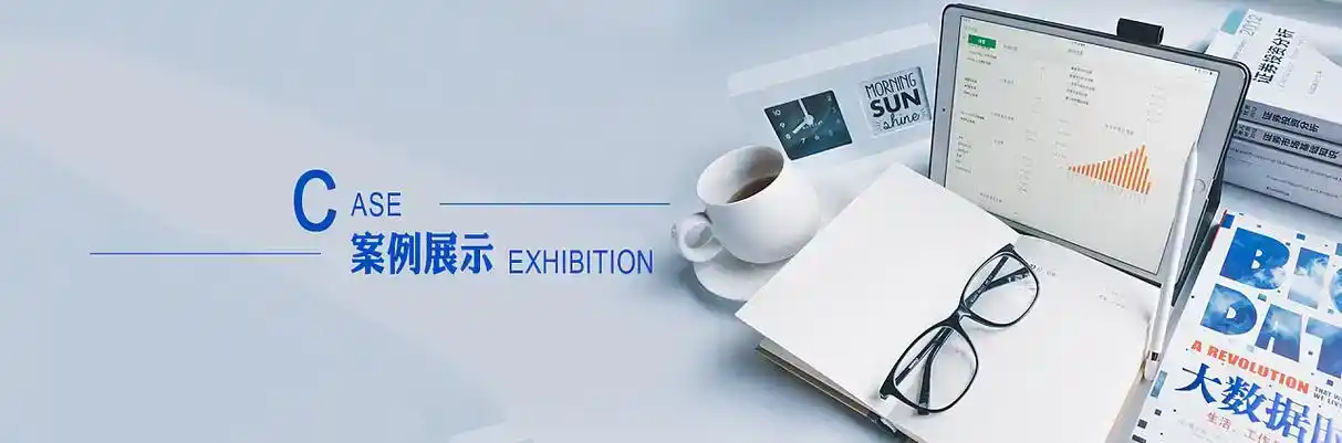 北安市软件开发